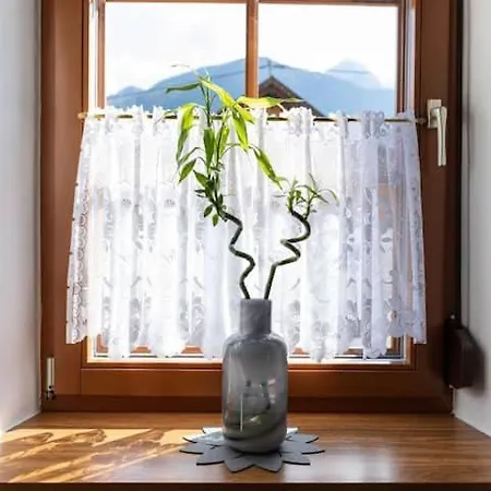 Апартаменты Vanek *